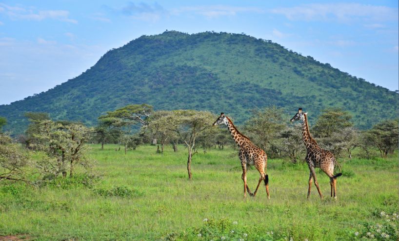 Uganda Visit Africa