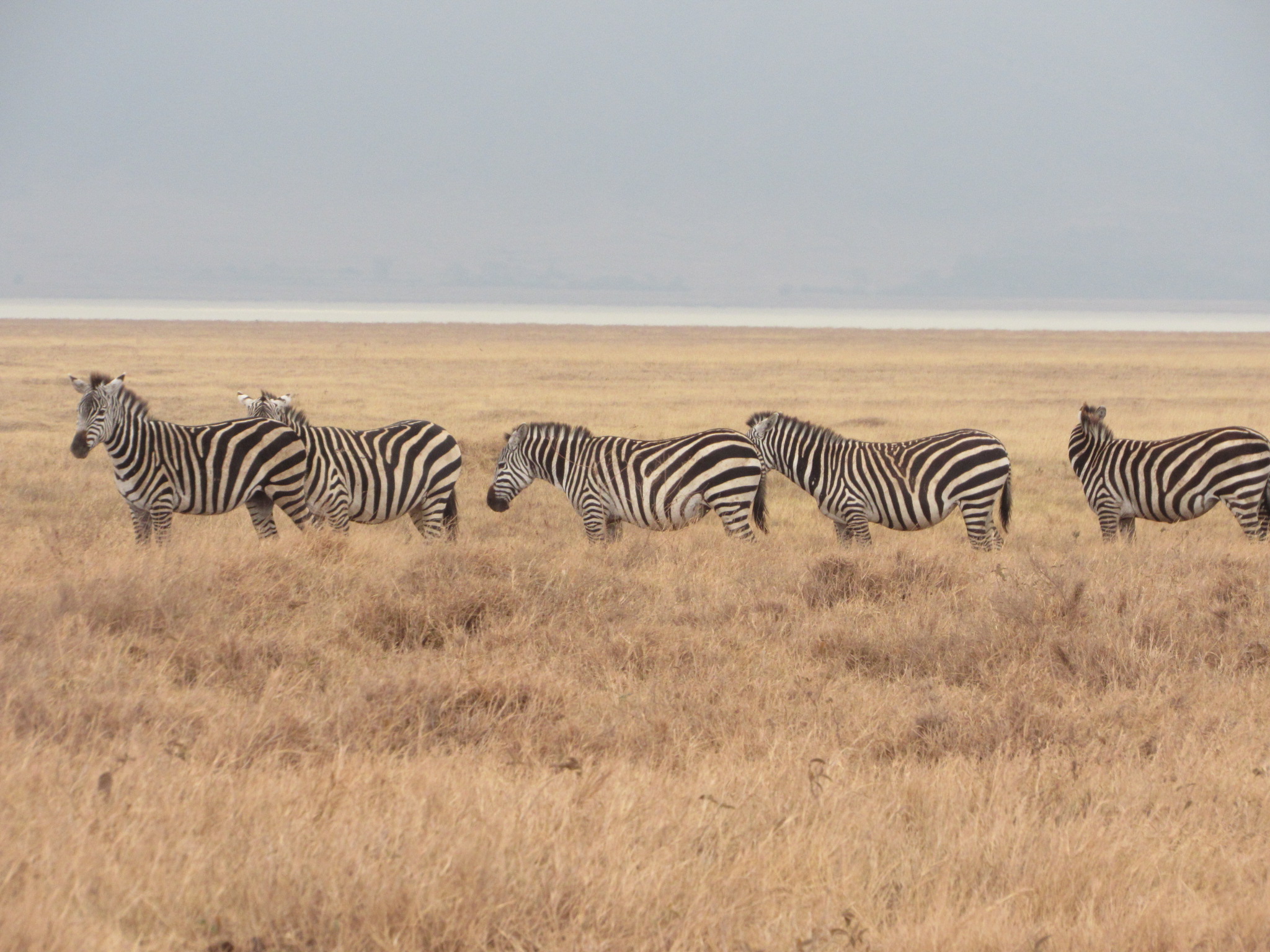 Day 1 Tarangire National Park