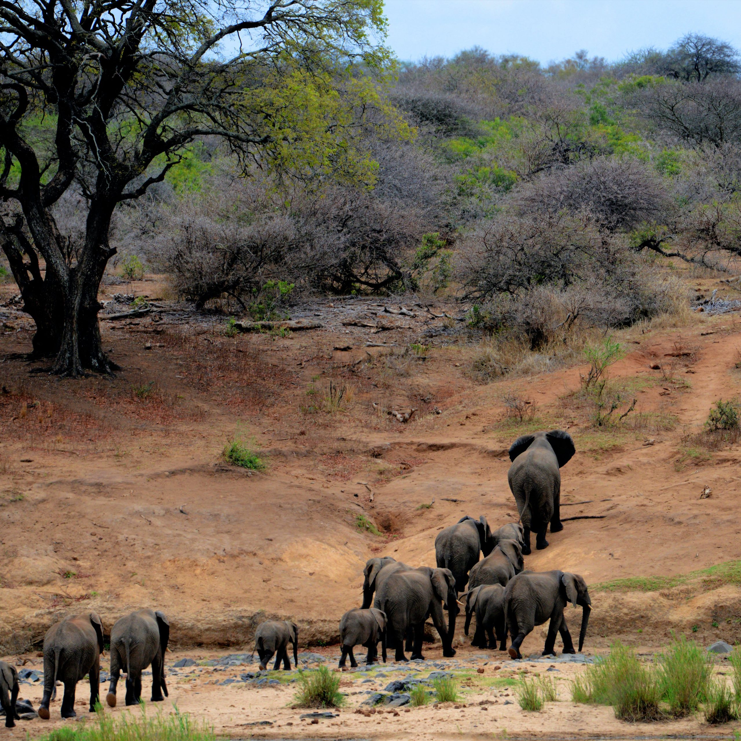  Day 6 Lake Ndutu