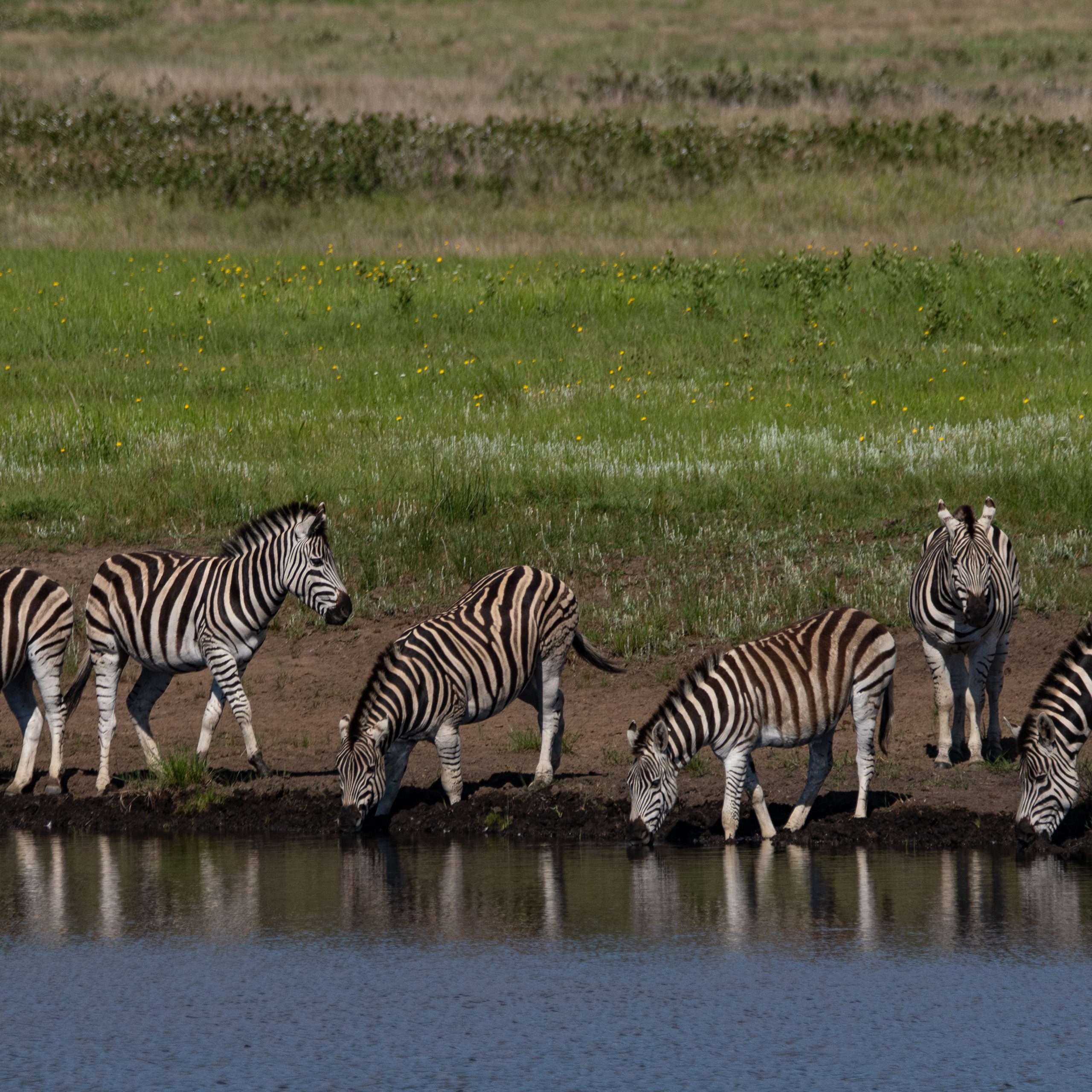  Day 2 Lake Manyara to Serengeti NP