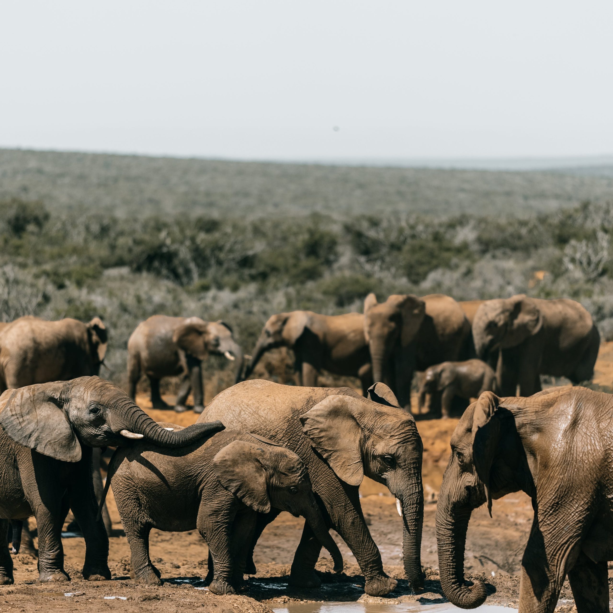 Day 2 Ngorongoro Crater