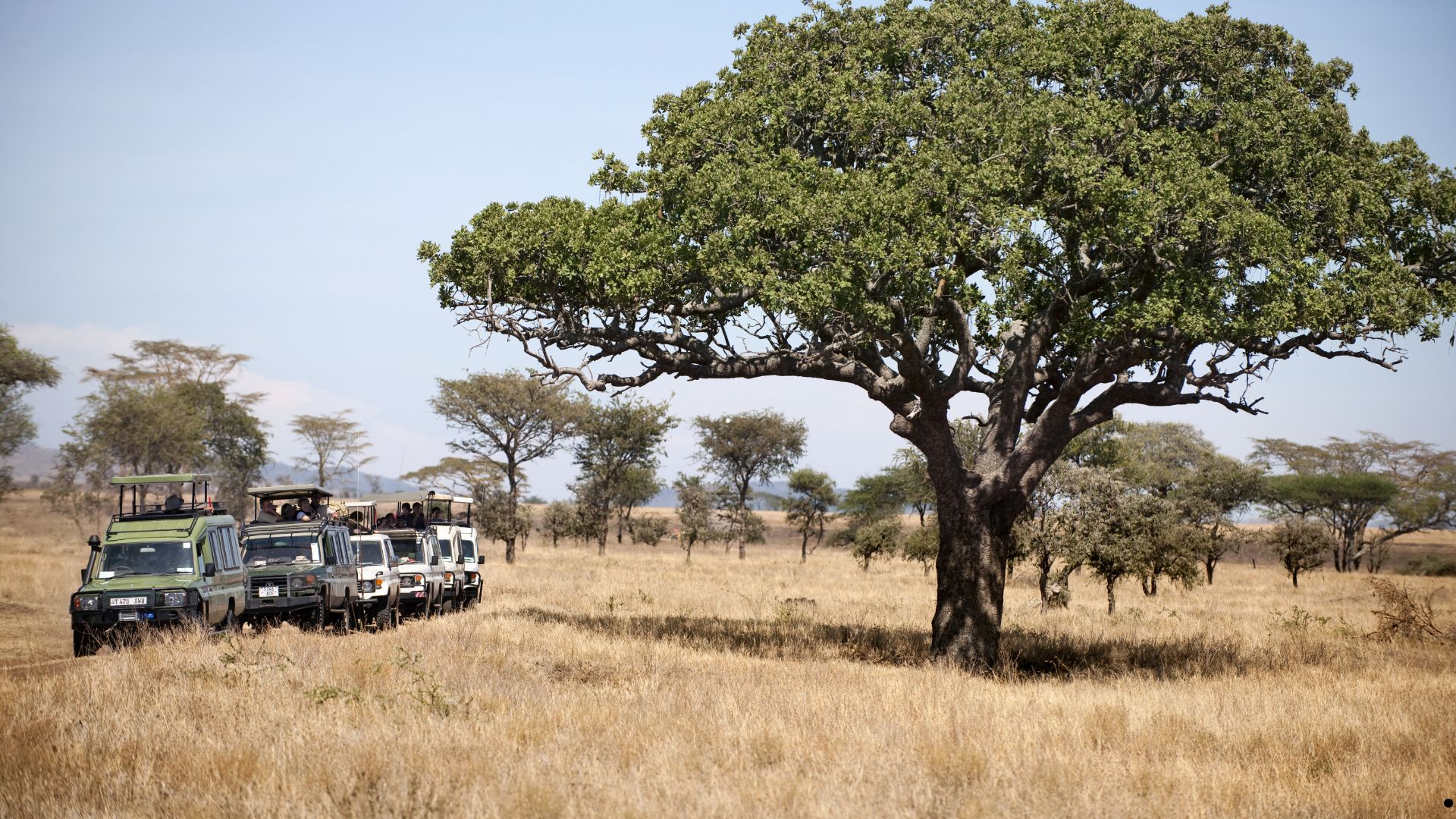 Day 3:Serengeti Park