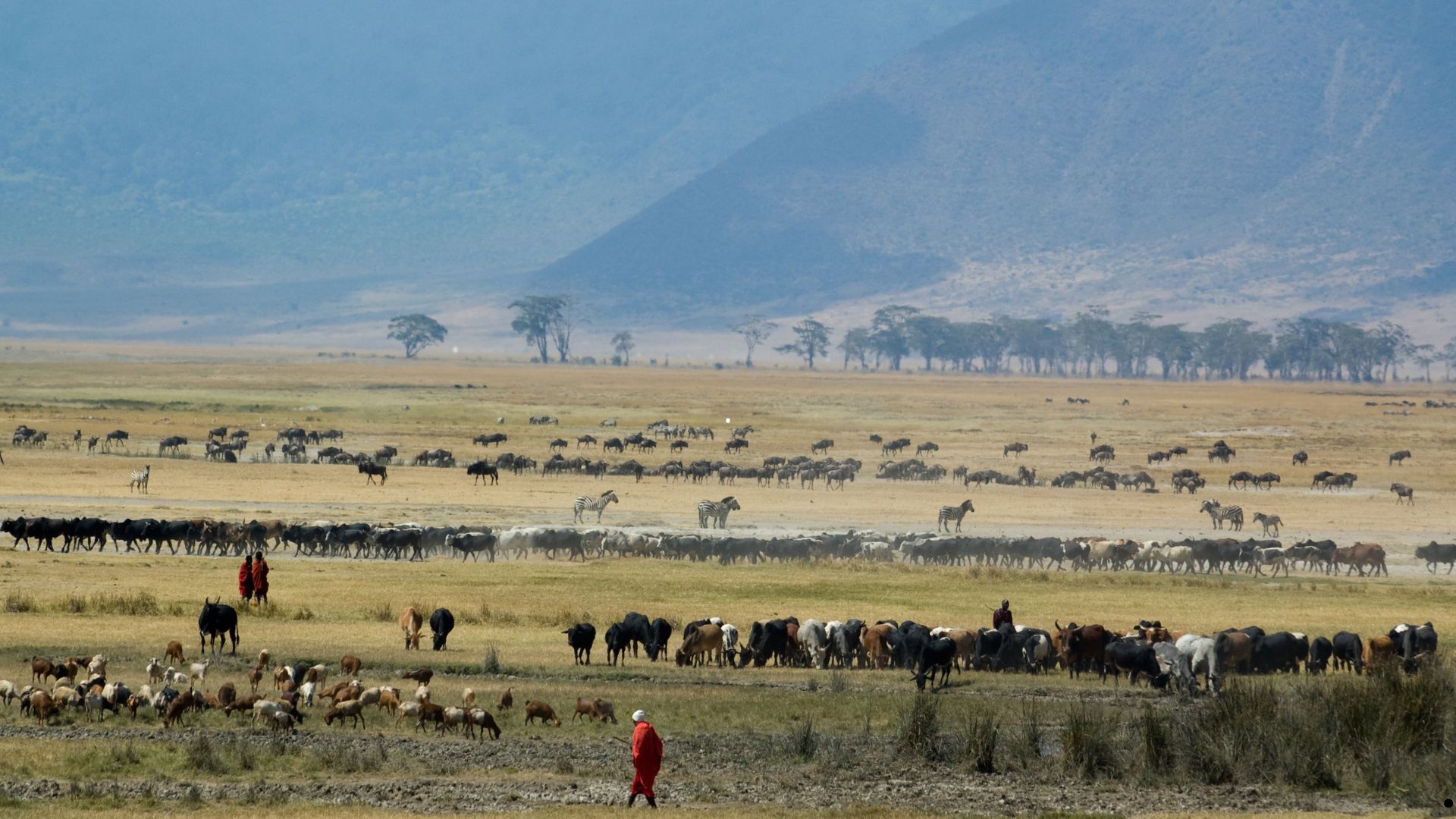 Day 2:Arusha to Ngorongoro crater