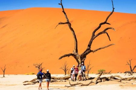 NAMIBIA’S ROAD TRIP & FLY-IN SOSSUSVLEI