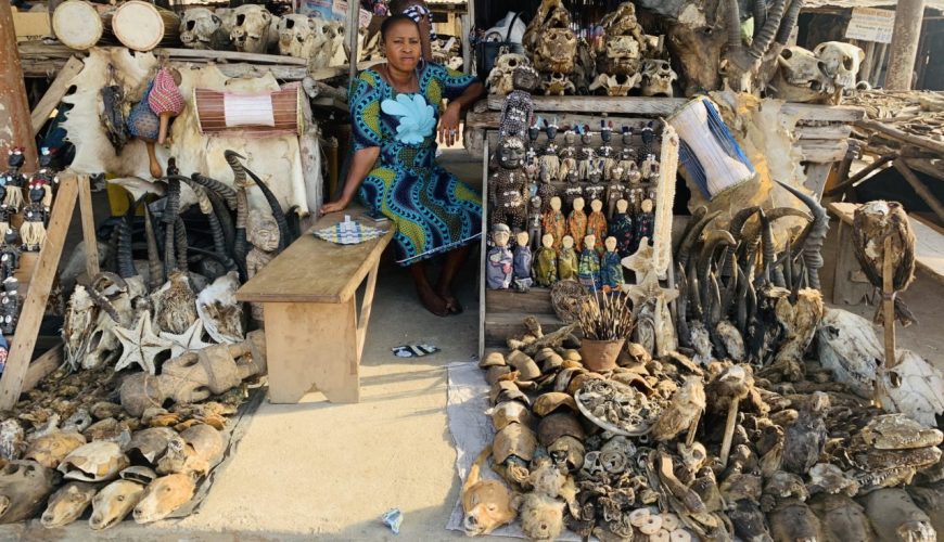 Togo’s Akodessawa Fetish Market: Exploring the Unique World of African Traditional Medicine