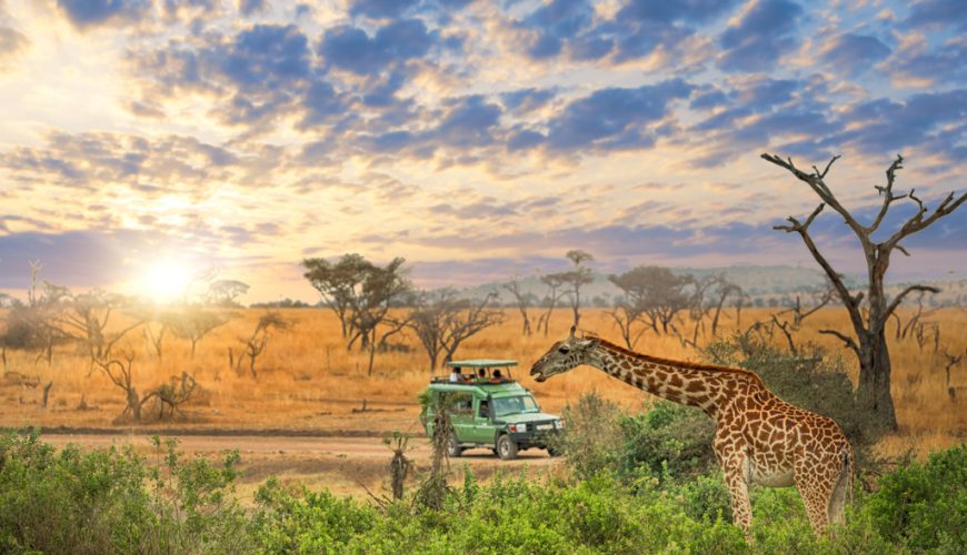 Tanzania’s Serengeti: An Unforgettable Safari Experience