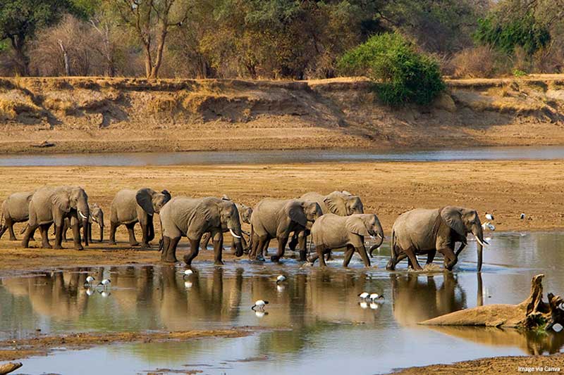 Zambia: Exploring the Rich Wildlife and Stunning Landscapes of Southern Africa
