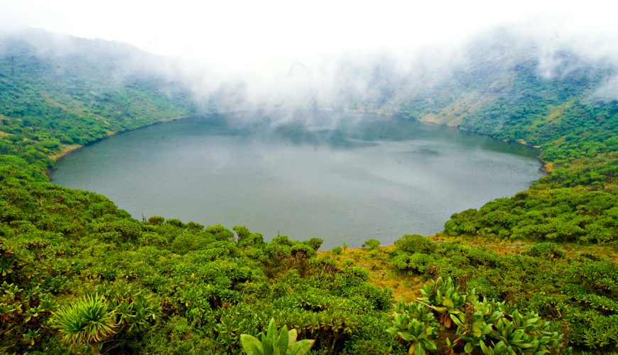 Discovering Rwanda’s National Parks: Volcanoes, Rainforests, and More