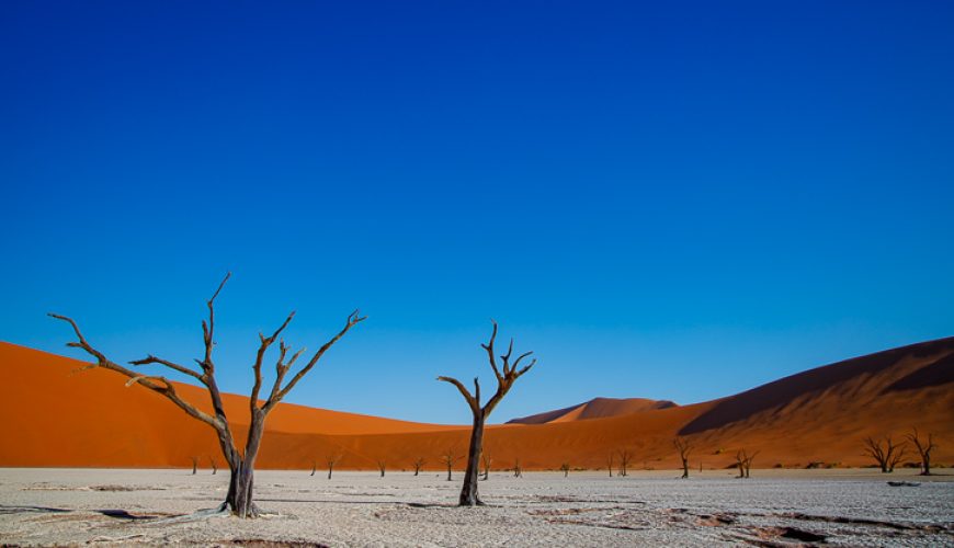Namibia’s Sossusvlei: A Stunning Landscape of Sand Dunes and Dead Trees