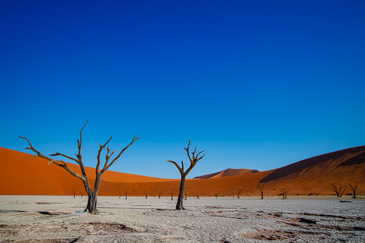 Namibia’s Sossusvlei: A Stunning Landscape of Sand Dunes and Dead Trees
