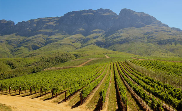 Discovering South Africa’s Wine Routes