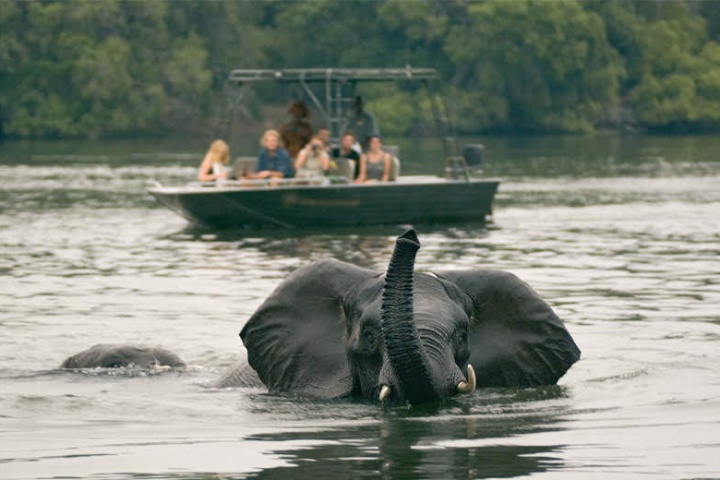 Exploring the Zambezi River: A Guide to River Cruises and Water Activities in Zambia