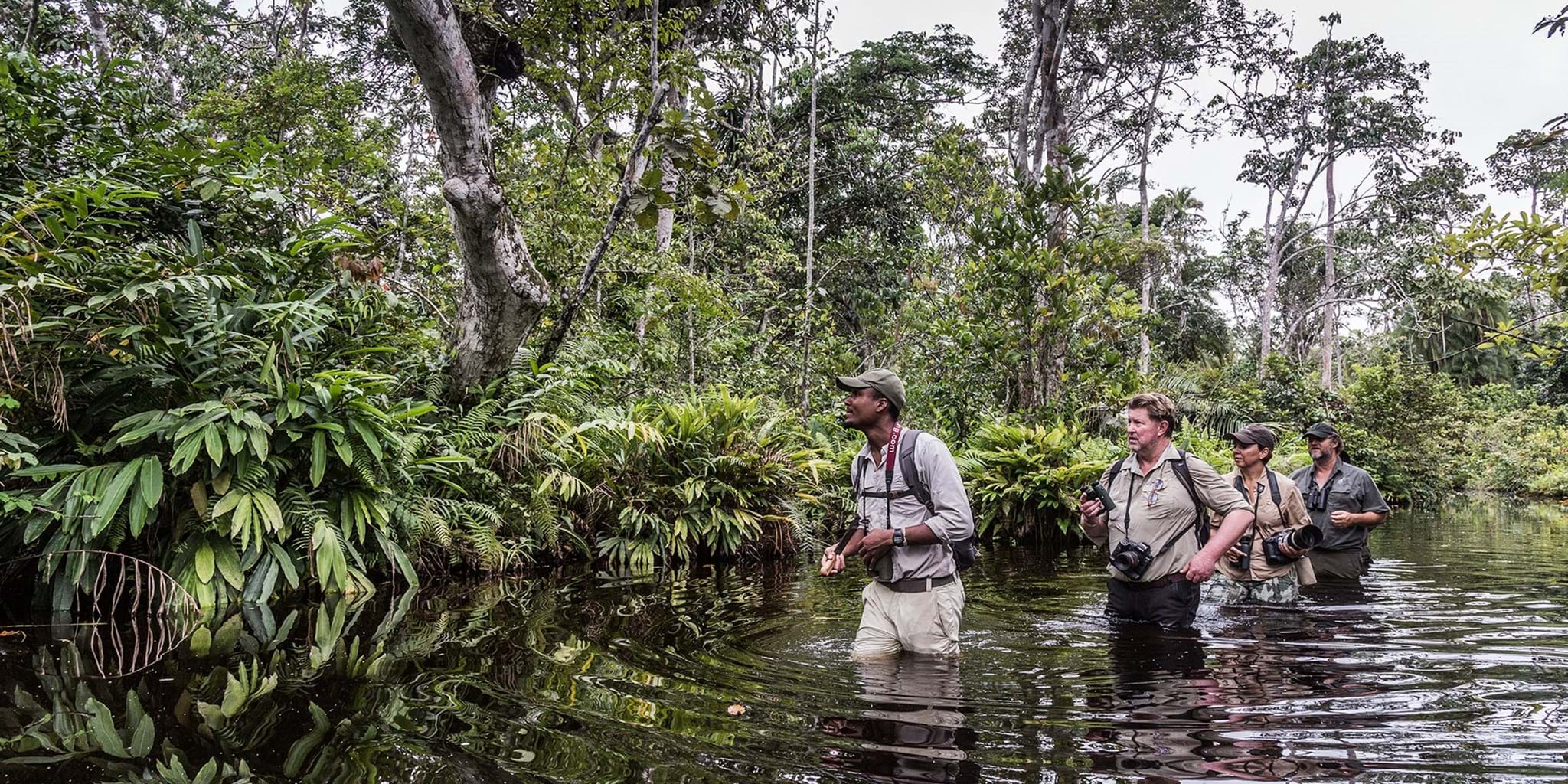 Exploring Gabon’s National Parks