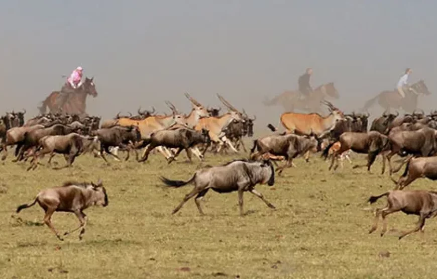 MASAI MARA HORSE-RIDING SAFARI
