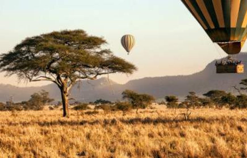 4-Day Serengeti National Park Tented Lodge Safari