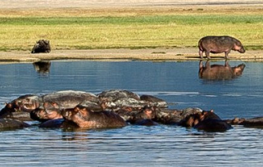 8-Day Tanzania Safari with Lake Natron – Oldoinyo Lengai