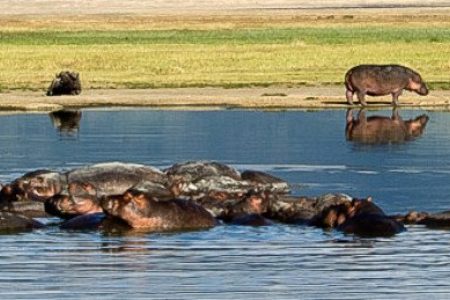 8-Day Tanzania Safari with Lake Natron – Oldoinyo Lengai