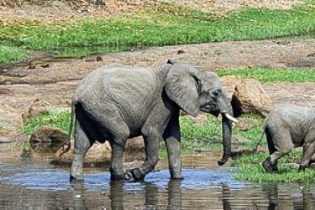 7-Day Tanzania Lodge Safari with Lake Natron