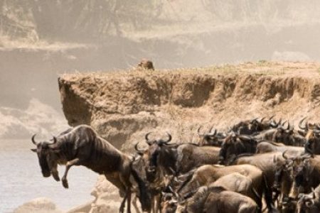 6-Day Tarangire, Ngorongoro and Serengeti Luxury Safari