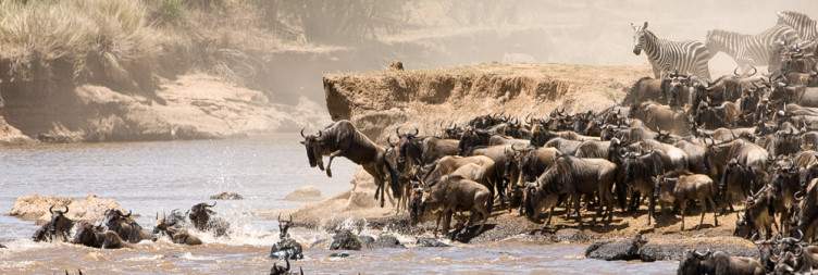 Day 3 Lake Natron to Serengeti National Park