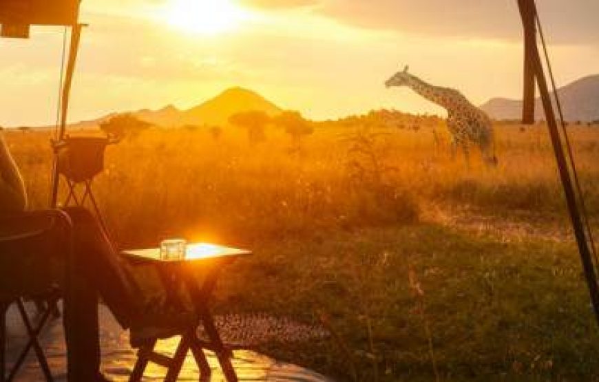 4-Day Serengeti National Park Tented Lodge Safari