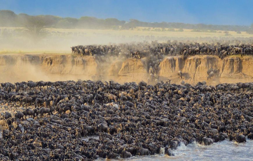 9-Day Special Offer to See Great Migration in Ndutu