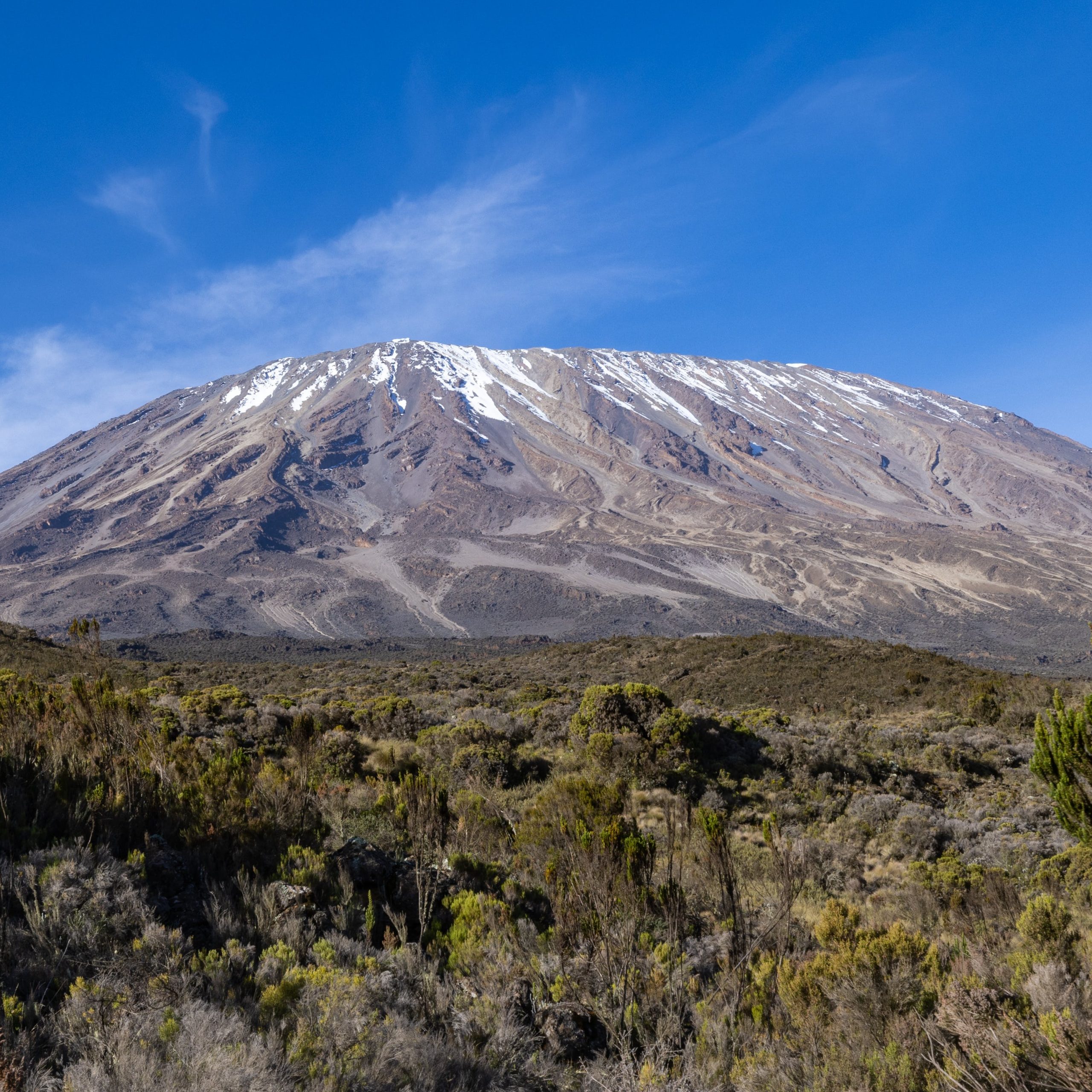 Day 1 Kilimanjaro National park to Mandara Hut