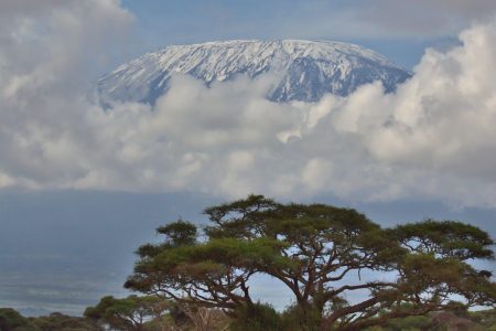 6-Day Kilimanjaro Mountain Umbwe Route