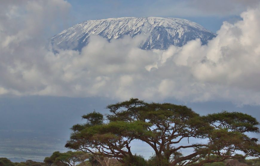1-Day Ngorongoro Crater Vacation