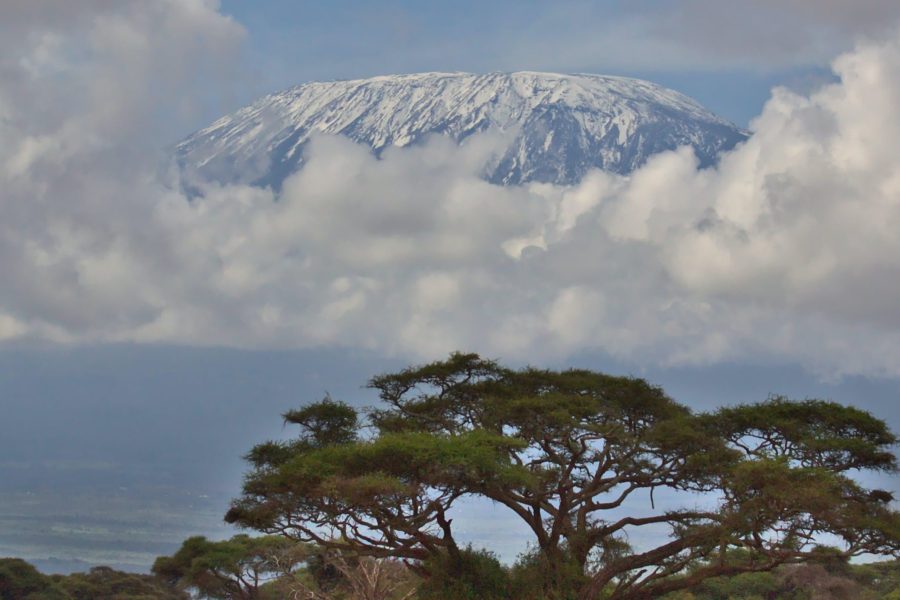 6-Day Kilimanjaro Mountain Umbwe Route