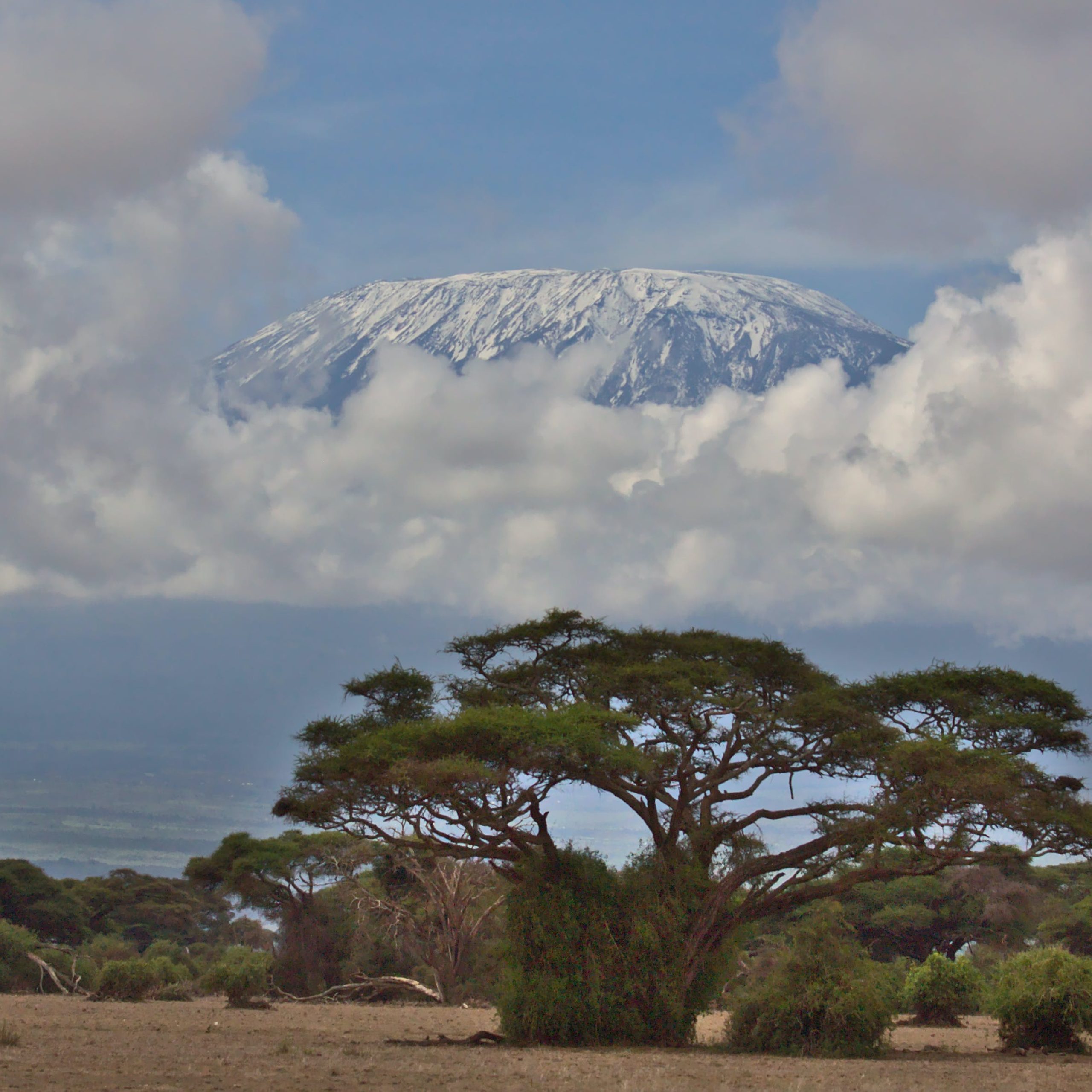  Day 10 Mount Kilimanaro