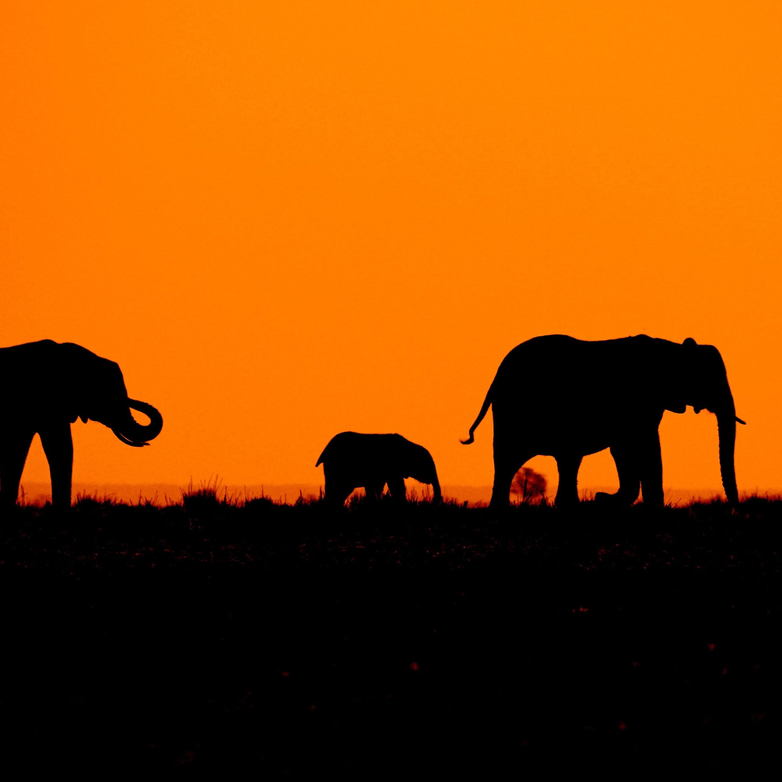  Day 1 Arusha - Serengeti National Park